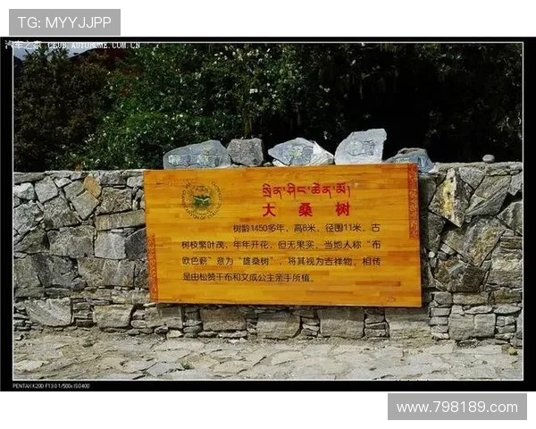 探索神山扑克的传奇与魅力：一场扑克文化的盛宴